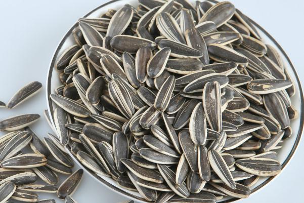 葵瓜子孕婦能吃嗎 葵瓜子孕婦吃了好嗎 葵瓜子孕婦能吃嗎 葵瓜子孕婦吃了好嗎