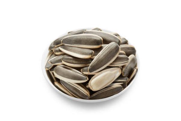 葵瓜子是種子還是果實(shí) 葵瓜子是發(fā)性食物嗎 葵瓜子是種子還是果實(shí) 葵瓜子是發(fā)性食物嗎