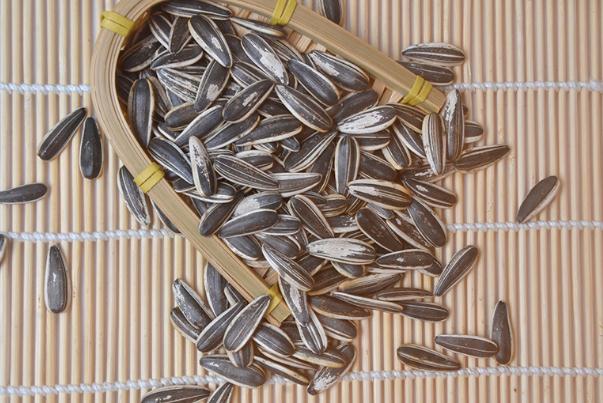 葵花子對(duì)胃好嗎 葵花子對(duì)肝臟有害處嗎 葵花子對(duì)胃好嗎 葵花子對(duì)肝臟有害處嗎