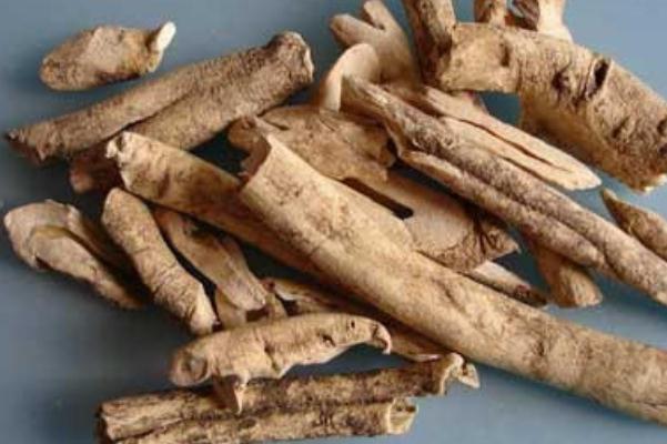 丹皮的副作用 丹皮的禁忌 丹皮的副作用 丹皮的禁忌