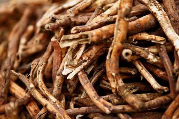 丹皮的副作用 丹皮的禁忌 丹皮的副作用 丹皮的禁忌