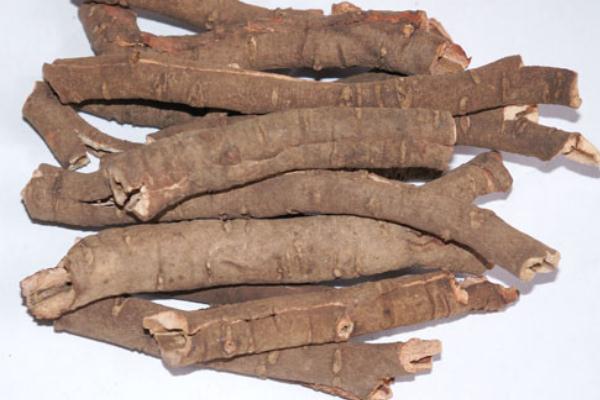 丹皮要不要去心 丹皮有毒嗎 丹皮要不要去心 丹皮有毒嗎