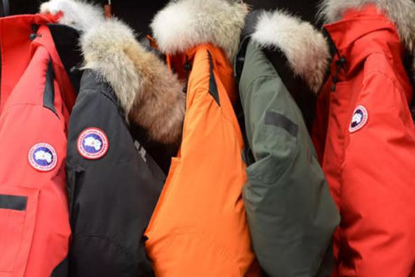 鵝絨羽絨服一般多少錢 鵝絨羽絨服一般充絨量多少 鵝絨羽絨服一般多少錢 鵝絨羽絨服一般充絨量多少