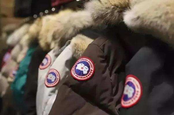 鵝絨羽絨服一般多少錢 鵝絨羽絨服一般充絨量多少 鵝絨羽絨服一般多少錢 鵝絨羽絨服一般充絨量多少