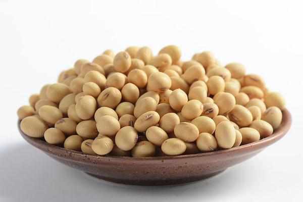黃豆是毛豆嗎 黃豆是涼性還是熱性 黃豆是毛豆嗎 黃豆是涼性還是熱性