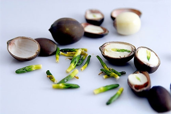 蓮子心泡水喝可以減肥嗎 蓮子心泡水喝可以降血糖嗎 蓮子心泡水喝可以減肥嗎 蓮子心泡水喝可以降血糖嗎