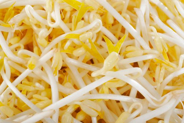 豆芽嘌呤高嗎 豆芽的熱量