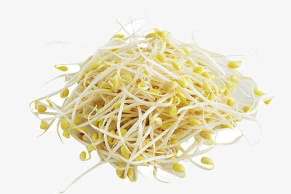 黃豆芽孕婦可以吃嗎 黃豆芽孕婦吃有什么好處 黃豆芽孕婦可以吃嗎 黃豆芽孕婦吃有什么好處