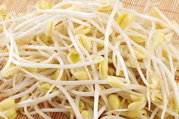 黃豆芽對(duì)肝臟有好處嗎 黃豆芽對(duì)糖尿病人有什么好處 黃豆芽對(duì)肝臟有好處嗎 黃豆芽對(duì)糖尿病人有什么好處