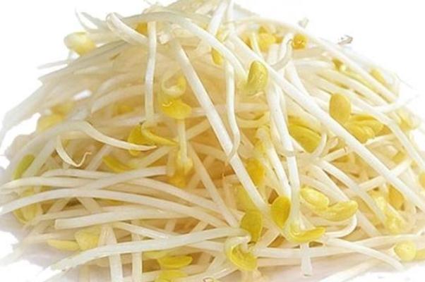 黃豆芽的功效與作用 黃豆芽怎么做好吃 黃豆芽的功效與作用 黃豆芽怎么做好吃