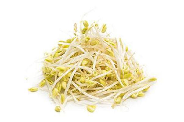 黃豆芽孕婦可以吃嗎 黃豆芽孕婦吃有什么好處 黃豆芽孕婦可以吃嗎 黃豆芽孕婦吃有什么好處