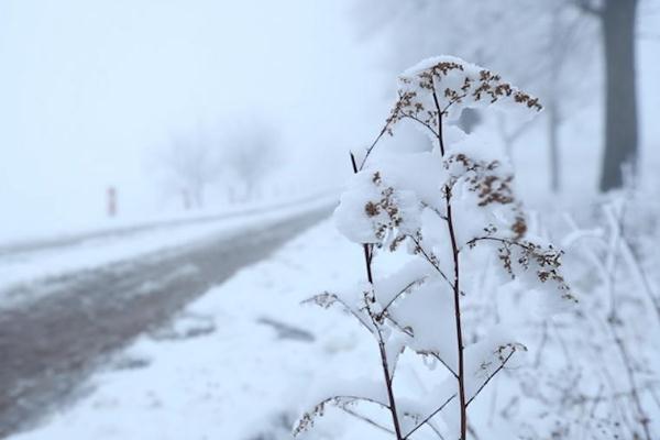 寒潮可以帶來(lái)什么 今冬第四輪大范圍寒潮來(lái)了 寒潮可以帶來(lái)什么 今冬第四輪大范圍寒潮來(lái)了