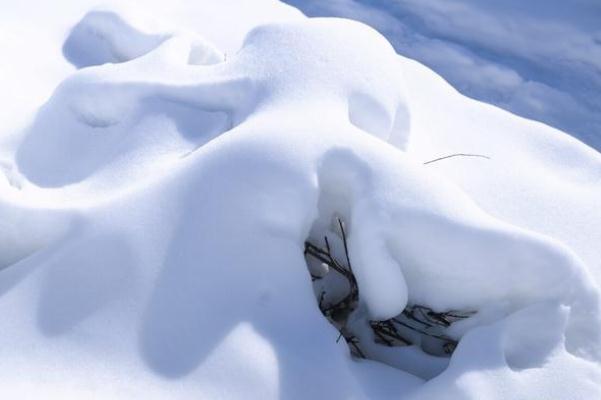 寒潮可以帶來(lái)什么 今冬第四輪大范圍寒潮來(lái)了 寒潮可以帶來(lái)什么 今冬第四輪大范圍寒潮來(lái)了