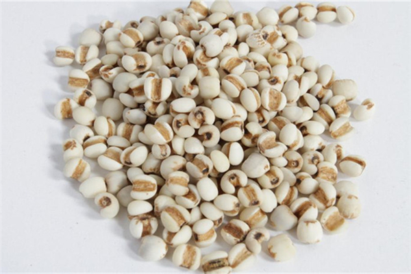 薏仁米怎么吃除濕效果最好 薏仁米和什么搭配除濕效果最好 薏仁米怎么吃除濕效果最好 薏仁米和什么搭配除濕效果最好