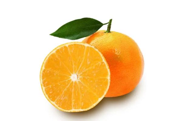 果凍橙是嫁接的嗎 果凍橙是沃柑嗎 果凍橙是嫁接的嗎 果凍橙是沃柑嗎