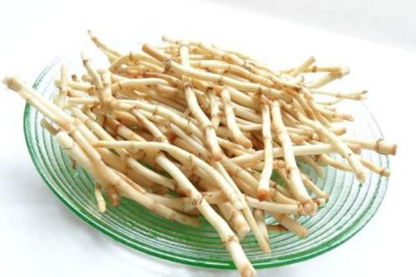 魚腥草為什么有腥味 魚腥草怎么去腥味 魚腥草為什么有腥味 魚腥草怎么去腥味