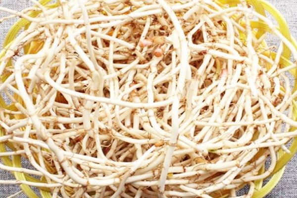 魚腥草可以泡水喝嗎 魚腥草可以長期泡水喝嗎 魚腥草可以泡水喝嗎 魚腥草可以長期泡水喝嗎