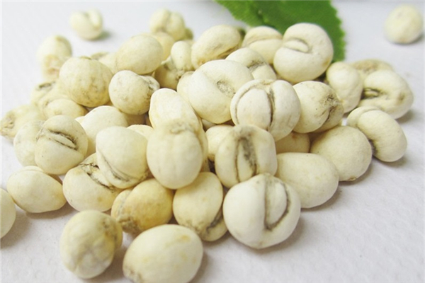 平貝母與川貝母的區(qū)別 平貝母是什么 平貝母與川貝母的區(qū)別 平貝母是什么