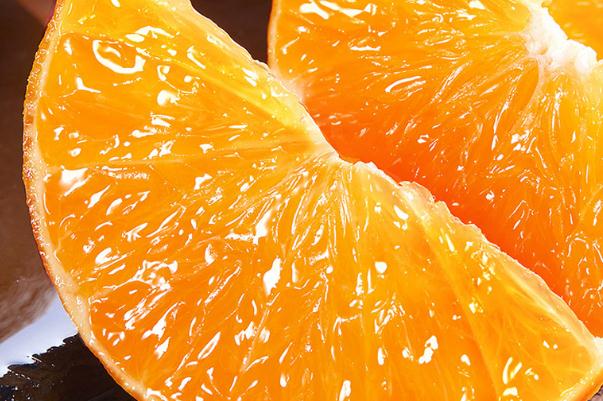 果凍橙是嫁接的嗎 果凍橙是沃柑嗎 果凍橙是嫁接的嗎 果凍橙是沃柑嗎