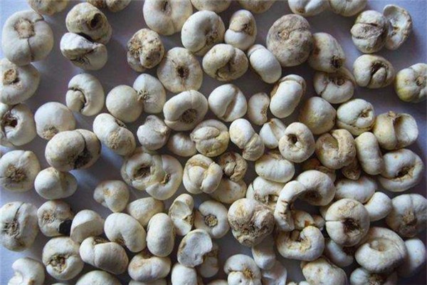 平貝母的功效和作用 平貝母可以當(dāng)川貝用嗎 平貝母的功效和作用 平貝母可以當(dāng)川貝用嗎