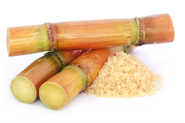 甘蔗含糖量高嗎 甘蔗會升血糖嗎 甘蔗含糖量高嗎 甘蔗會升血糖嗎