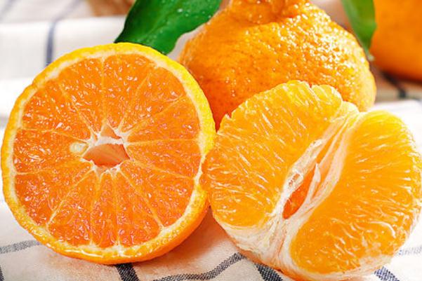 耙耙柑與丑橘的怎么區(qū)分 耙耙柑是橘子還是柑子 耙耙柑與丑橘的怎么區(qū)分 耙耙柑是橘子還是柑子