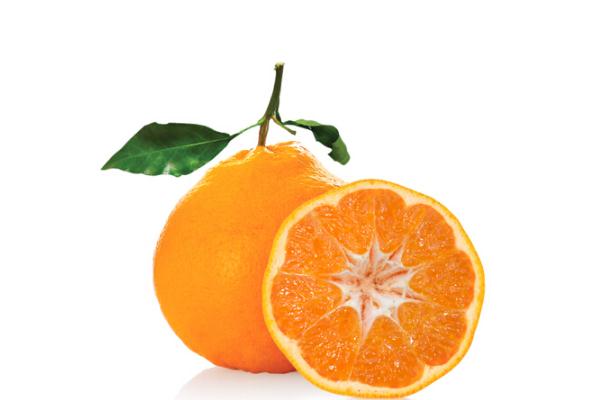 耙耙柑與丑橘的怎么區(qū)分 耙耙柑是橘子還是柑子 耙耙柑與丑橘的怎么區(qū)分 耙耙柑是橘子還是柑子