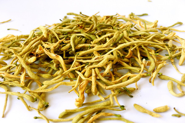 金銀花泡水可以空腹喝嗎 金銀花泡水什么時候喝比較好 金銀花泡水可以空腹喝嗎 金銀花泡水什么時候喝比較好