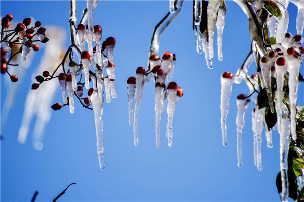 小寒是一年中最冷的嗎 小寒冷還是大寒冷 小寒是一年中最冷的嗎 小寒冷還是大寒冷