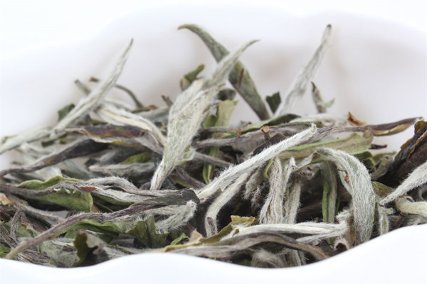 白茶適合什么季節(jié)喝 白茶什么時間段喝最好 白茶適合什么季節(jié)喝 白茶什么時間段喝最好