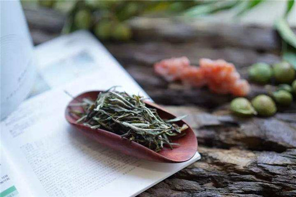 白茶孕婦能不能喝 白茶孕婦喝了有什么好處 白茶孕婦能不能喝 白茶孕婦喝了有什么好處