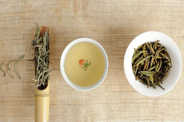 白茶可以降低血糖嗎 白茶可以治療蕁麻疹嗎 白茶可以降低血糖嗎 白茶可以治療蕁麻疹嗎