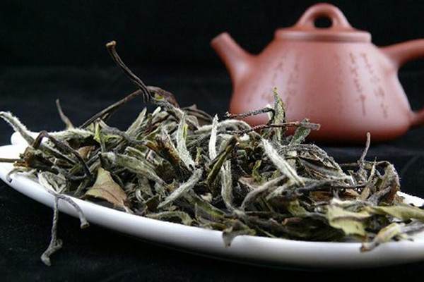 白茶哪些人不能喝 白茶怎么看好壞 白茶哪些人不能喝 白茶怎么看好壞