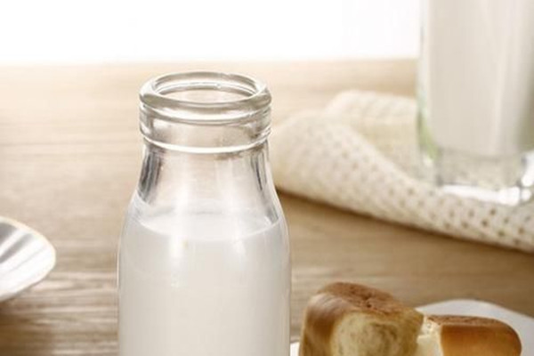 純牛奶的營養(yǎng)價值 純牛奶每天喝好嗎