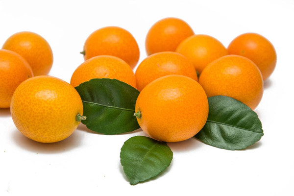 金桔可以空腹吃嗎 金桔飯前吃還是飯后吃 金桔可以空腹吃嗎 金桔飯前吃還是飯后吃