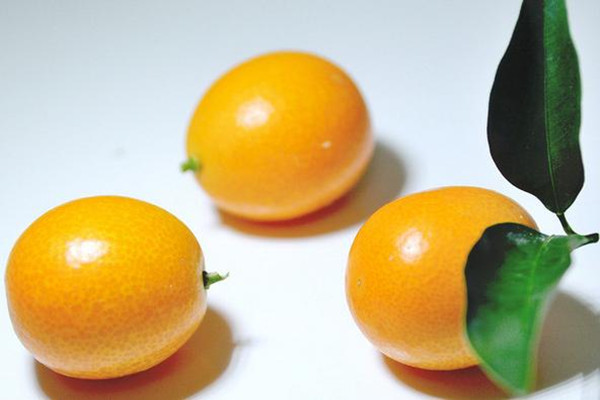 金桔有青色的嗎 青金桔和金桔的區(qū)別 金桔有青色的嗎 青金桔和金桔的區(qū)別