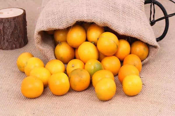 金桔放冰箱可以放多久 金桔能不能冷凍保存 金桔放冰箱可以放多久 金桔能不能冷凍保存