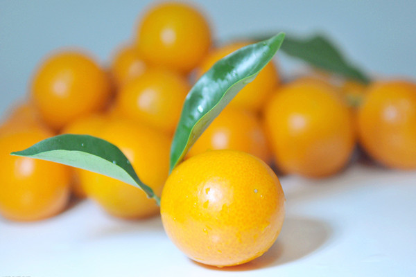 金桔的營養(yǎng)價值 金桔能和蜂蜜一起吃嗎 金桔的營養(yǎng)價值 金桔能和蜂蜜一起吃嗎