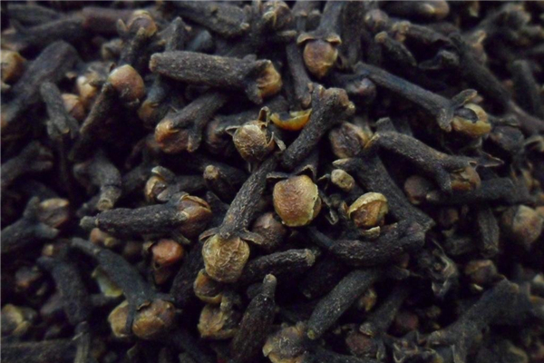 丁香燉肉起到什么作用 丁香適合做什么肉