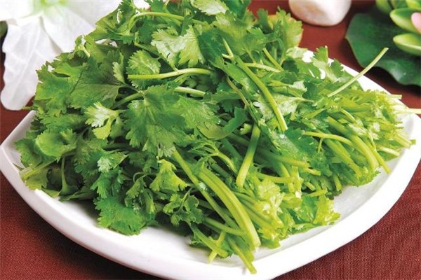 香菜會(huì)加速黑色素沉淀嗎 香菜會(huì)讓人變黑嗎 香菜會(huì)加速黑色素沉淀嗎 香菜會(huì)讓人變黑嗎