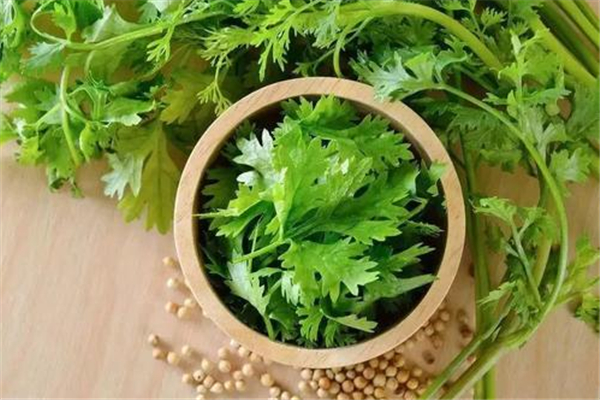 香菜涼拌要焯水嗎 香菜涼拌的做法 香菜涼拌要焯水嗎 香菜涼拌的做法