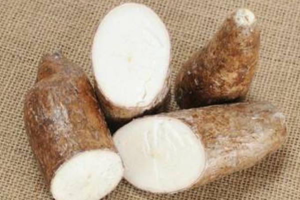 木薯要蒸多少分鐘才熟 木薯要怎么煮好吃 木薯要蒸多少分鐘才熟 木薯要怎么煮好吃