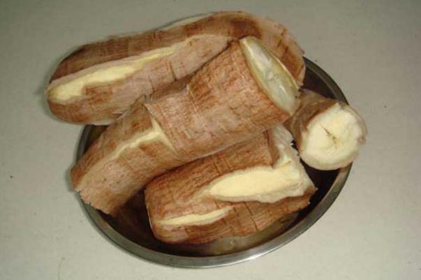 木薯的禁忌和副作用 木薯的產地在哪里