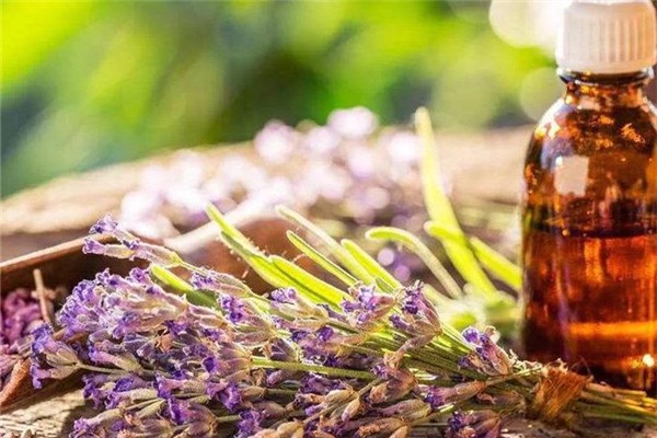 單方精油可以直接用在皮膚上嗎 單方精油直接涂臉上的后果 單方精油可以直接用在皮膚上嗎 單方精油直接涂臉上的后果