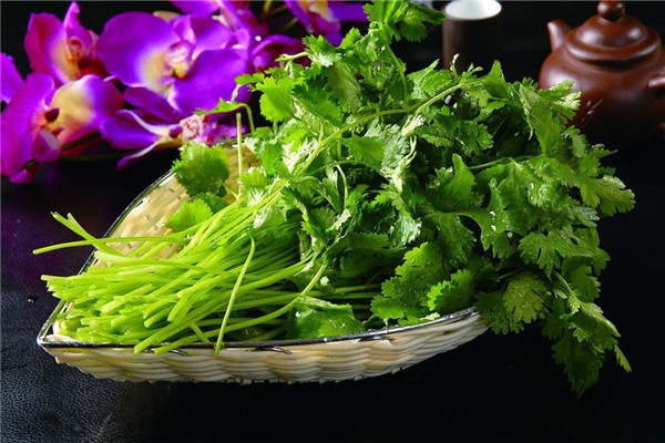 香菜降血壓嗎 香菜吃了對身體有什么好處 香菜降血壓嗎 香菜吃了對身體有什么好處