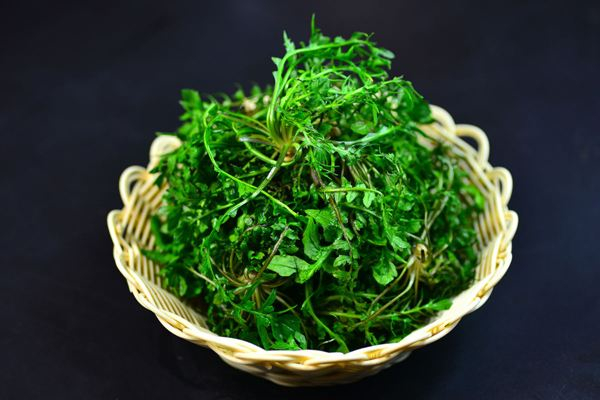 薺菜買回來怎么處理 薺菜買什么樣的好 薺菜買回來怎么處理 薺菜買什么樣的好