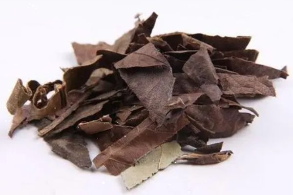 枇杷葉是否有毒 枇杷葉可以煮水喝嗎 枇杷葉是否有毒 枇杷葉可以煮水喝嗎