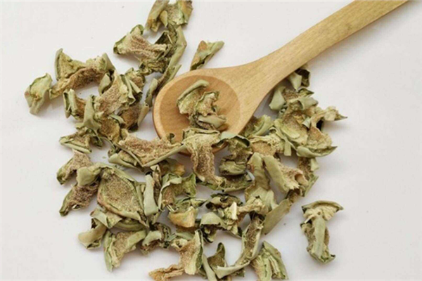 仙人掌可以炒著吃嗎 仙人掌哪種可以吃 仙人掌可以炒著吃嗎 仙人掌哪種可以吃