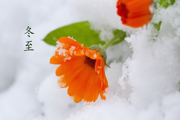 冬至是幾月幾號2021年 冬至有什么含義嗎 冬至是幾月幾號2021年 冬至有什么含義嗎