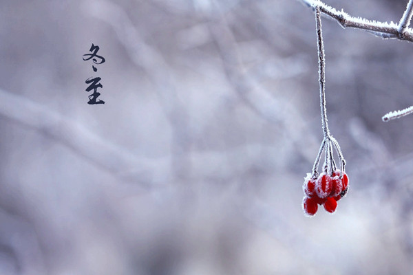 冬至是否要吃餃子 冬至吃餃子的由來 冬至是否要吃餃子 冬至吃餃子的由來